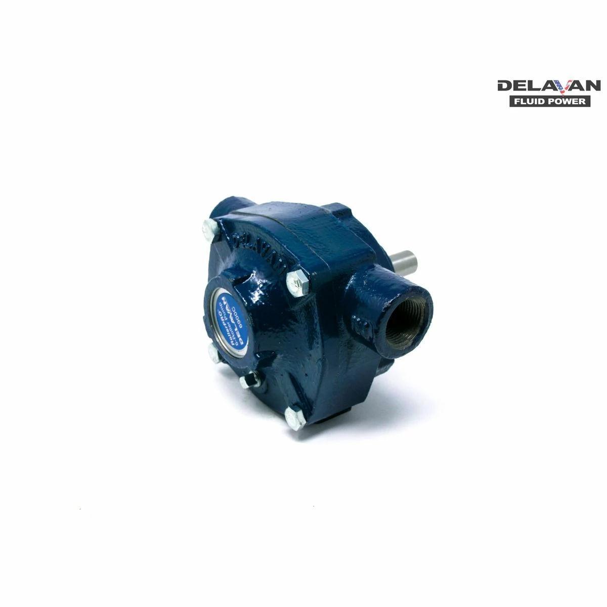 Outlet โญ Delavan Pump, Cast Iron, Roller Pro, 20 Gpm, 6 Roller, 6900C ๐ 2 Outlet โญ Delavan Pump, Cast Iron, Roller Pro, 20 Gpm, 6 Roller, 6900C ๐ - Image 2