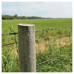 Cheapest 😉 Hillman #9 5 LB Box Hot Dipped Galvanized Fence Staple, 461479, 1-3/4 IN 🔥 -Farm Ranch store sftp a s assets20201209000001173