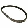 Hot Sale 🤩 Ace Pump Belt; 10 Groove (FOR PTOC-600), 40 IN, BAC-28-10 ⌛