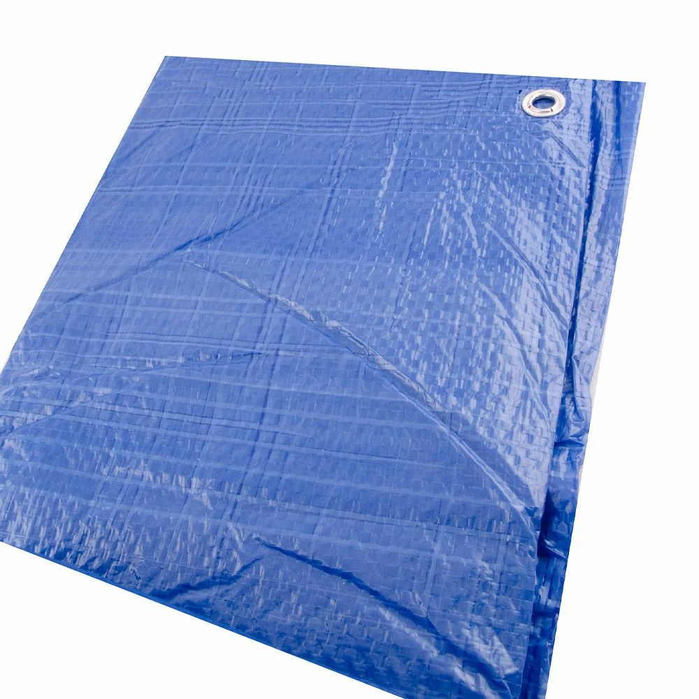 Flash Sale ๐งจ Erickson Economy Grade Poly Tarp, Blue, 57001, 8 FT x 10 FT โ๏ธ 2 Flash Sale ๐งจ Erickson Economy Grade Poly Tarp, Blue, 57001, 8 FT x 10 FT โ๏ธ - Image 2